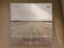 Vincent Gallo - When Vinyl 2001