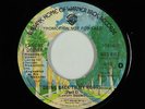 70s Soul 45 - Lamont Dozier - Going Back To My Roots - Warner Bros. - VG++ mp3