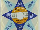 Deep Soul 45 - Spencer Wiggins - Take Me Just As I Am - Goldwax - VG++ mp3