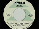 Northern Soul 45 - Mustangers - What Do I Have To Pay - Piedmont - VG++ mp3
