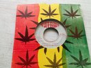 THE WAILERS//CONCRETE JUNGLE- HURTING INSIDE // TUFFGONG //7''// Listen