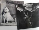 Pavlov's Dog   at the sound of the Bell & pampered menial