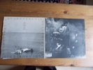THE WHO... QUADROPHENIA ////////// THE SINGLES COMPILATION. Classic rock.