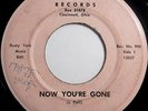 THE COUNTS Now You're Gone 45 rpm TEEN 900 RARE OHIO MOODY GARAGE ROCK - HEAR