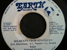 Rare 1982 Private Press Modern Soul Funk EARTH 45 EGO Wildcats From Kentucky