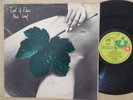 East Of Eden ' New Leaf '