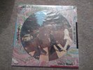 Beatles ?The – Abbey Road Picture Pic Disc - Vinyl LP Album Record (USA 1978)