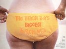 RARE BEACH BOYS LP w alternate cover BIGGEST HITS RCA Camden CAS-2371 cheesecake