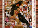 Just an American Boy (Live) by Steve Earle (Vinyl, Sep-2017, 3LP, Warner Bros.)