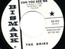 THE BRIKS Can You See Me BIZMARK BK-1013 RARE Garage Rock 45 VINYL Texas Punk