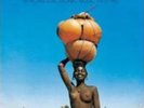 FRANCIS BEBEY: AFRICAN ELECTRONIC MUSIC 1975-1982 (LP vinyl *BRAND NEW*)
