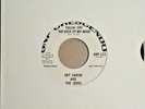 The SEEDS - Fallin' Off The Edge Of My Mind / Wild Blood GARAGE PUNK GNP 45 M-