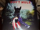 GOV'T MULE  gov't mule  DoLP  2016