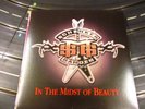 MSG   SCHENKER BARDEN  IN THE MIDST OF BEAUTY   LP  NIGHT OF VINYL DEAD