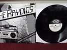 THE RAYDIOS Original Demo Recordings LP Screaming Apple Records ex-teengenerate