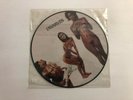 DWARVES Blood Guts & Pussy LP Sub Pop Rec. SP-67 US 1990 VG++ RARE PIC DISC 2F