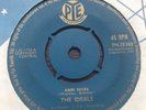 The Ideals Knee Socks UK 45 plays well