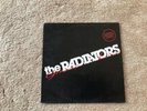 RARE The Radiators Gimme Live LP Record
