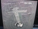 Rudimentary Peni-