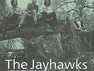 JAYHAWKS: TOMORROW THE GREEN GRASS (LP vinyl *BRAND NEW*)