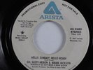 70s Soul Funk 45 GIL SCOTT-HERON & BRIAN JACKSON Hello Sunday ARISTA promo HEAR