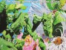 VARIOUS - The Three Seasons - 3 LP (White/Yellow Marbled) Fruits De Mer