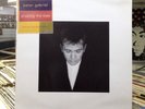 Peter Gabriel / Shaking The Tree (Twelve Golden Greats). Vinyl, LP, Compilation