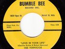 TORNADOS - Bumble Bee 503 (Detroit) - Love in Your Life - 1959 DOO-WOP 45 VG++