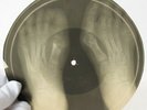 X-Ray Audio roentgen film Record Bones Ribs 1950s St. Louis Blues in Russian