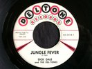 Dick Dale, Deltone 5018, Jungle Fever & Shake-N-Stomp, Great rocker