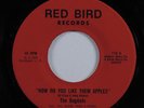 Soul Funk 45 BAGDADS How Do You Like Them Apples RED BIRD VG+ HEAR