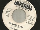 NORTHERN SOUL POPCORN- TURBANS- THE DAMAGE IS DONE  -HEAR -PROMO IMPERIAL