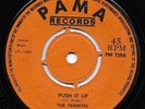 ? LISTEN - in-demand TERMITES killer  - Push It Up on PAMA PM 729 from 1968