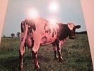Vintage Vinyl Record Pink Floyd Atom Heart Mother 382