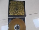 THE OFFSPRING - IXNAY ON THE HOMBRE - COLOURED VINYL LP - USED GOOD CONDITION