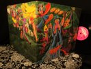 TOPS  1970 UK ORIG   AUDIENCE   FRIENDS Prog Van der Graaf  PINK SCROLL CHARISMA