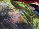 JOHN MAYALL  ? BLUES FROM LAUREL CANYON ? A NEVER PLAYED ARCHIV ALBUM PERFECT
