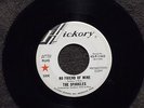 THE SPARKLES No Friend of Mine HICKORY 1443 DJ Listen  GARAGE/PSYCH