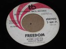 OHIO FUNK SOUL 45 - ROGER TROUTMAN & HUMAN BODY - FREEDOM - 1975 -TROUTMAN BROS.