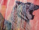 Amon Düül II ?– Wolf City - United Artists Records ?– UAS 29 406 I -1972 LP