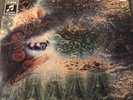 Pink Floyd - A Saucerful Of Secrets - Vinyl
