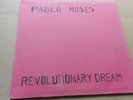 PABLO MOSES // REVOLUTIONARY DREAM / PENETRATE  // -LP'' Listen