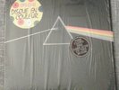pink floyd lp 33giri france DC13 dark side of the moon blue vinyl 1978