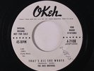 SKEE BROTHERS: That's All She Wrote / Four Aces 45 (dj, #ol) Rockabilly