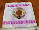1971 Buddha Records Steve Martin Two By Two 7