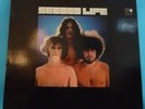 LP Second Life – Second Life Vinyl VG++ Cover VG+ Germany 2011