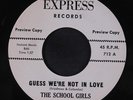 SCHOOL GIRLS: Guess We're Not In Love / The Reasons Why I Love Him 45 (dj)