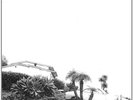 Timber Timbre-Hot Dreams VINYL NEW