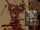 Tiamat The Astral Sleep 2015 Gold Vinyl LP Pressing Near Mint Lt.Ed.
