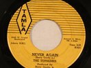 THE SUPREMES I Want A Guy / Never Again TAMLA Northern Soul Detroit